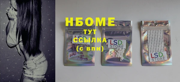 прущие грибы Абинск