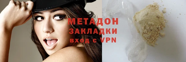 прущие грибы Абинск