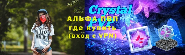 прущие грибы Абинск