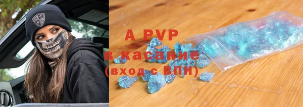 прущие грибы Абинск