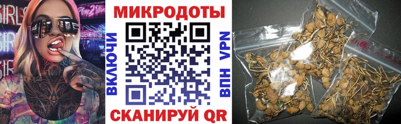 blacksprut   Щучье  Галлюциногенные грибы мицелий 